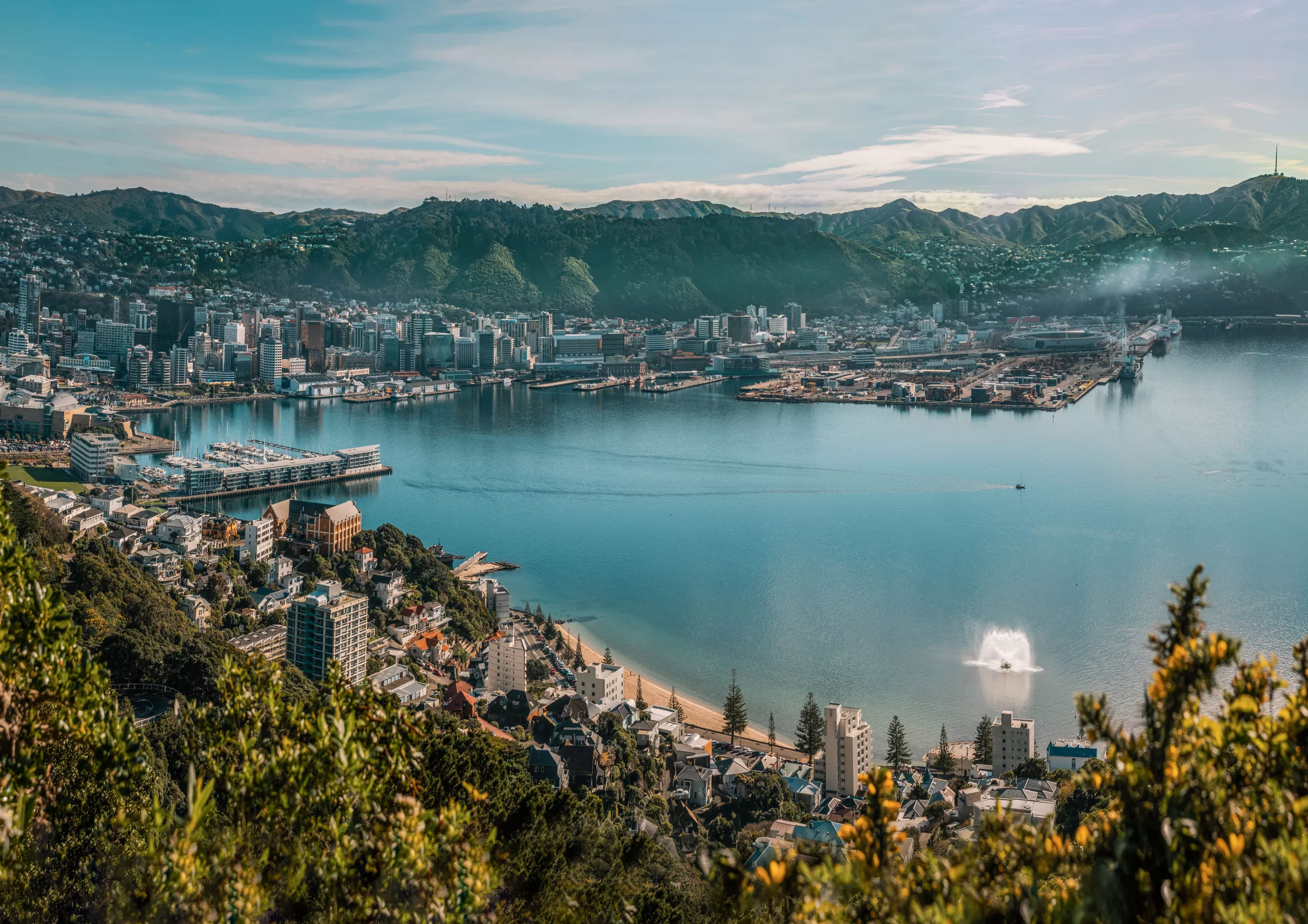 Wellington harbour viewed from Mount Victoria Lookout